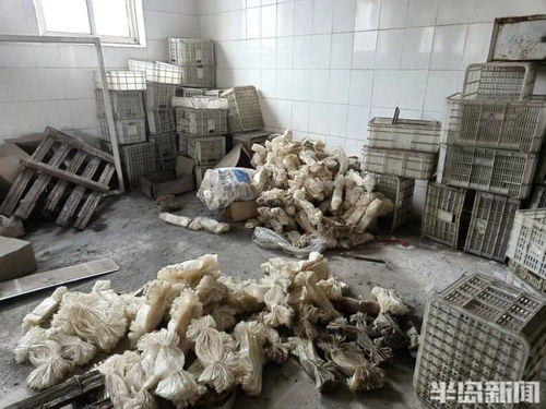 半島調查丨天花板坍塌 車間成廢墟 響當當?shù)睦献痔柧棺兂闪诉@樣 它還能再 香 嗎